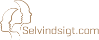 selvindsigt.com logo